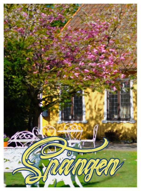 Spangens Gastgivaregard Inn Ljungbyhed Exterior photo